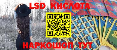 дмт Донской