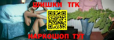 стаф Дубна