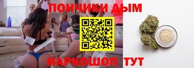 стаф Дубна