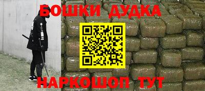 стаф Дубна