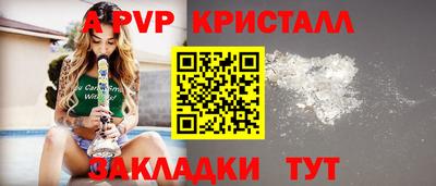 стаф Дубна