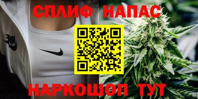 дмт Донской