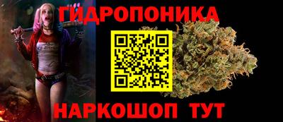 стаф Дубна